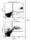 Fig. 06 - METHOD AND COMPOSITION FOR PRODUCING A CELLULAR ALLOGENEIC VACCINE