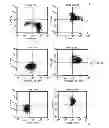Fig. 07 - METHOD AND COMPOSITION FOR PRODUCING A CELLULAR ALLOGENEIC VACCINE