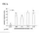Fig. 07 - SELECTION OF PLATELET RICH PLASMA COMPONENTS VIA MINERAL BINDING