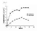 Fig. 02 - Lidocaine-containing hydrogel patch