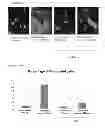 Fig. 03 - Use of oligosaccharide compounds for the prevention and treatment of pathological scars