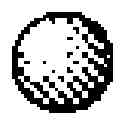 Fig. 03 - Modified polynucleotides encoding septin-4
