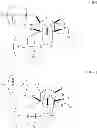 Fig. 24 - Modified polynucleotides encoding septin-4