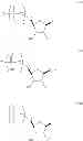 Fig. 30 - Modified polynucleotides encoding septin-4