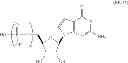 Fig. 35 - Modified polynucleotides encoding septin-4
