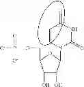 Fig. 90 - Modified polynucleotides encoding septin-4
