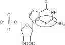 Fig. 97 - Modified polynucleotides encoding septin-4