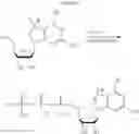 Fig. 124 - Modified polynucleotides encoding SIAH E3 ubiquitin protein ligase 1