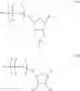 Fig. 25 - Modified polynucleotides encoding SIAH E3 ubiquitin protein ligase 1