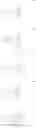 Fig. 59 - Modified polynucleotides encoding SIAH E3 ubiquitin protein ligase 1