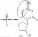Fig. 87 - Modified polynucleotides encoding SIAH E3 ubiquitin protein ligase 1