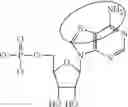 Fig. 93 - Modified polynucleotides encoding SIAH E3 ubiquitin protein ligase 1
