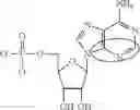 Fig. 94 - Modified polynucleotides encoding SIAH E3 ubiquitin protein ligase 1