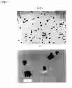 Fig. 03 - Fexofenadine microcapsules and compositions containing them
