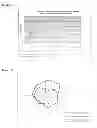 Fig. 18 - Fexofenadine microcapsules and compositions containing them