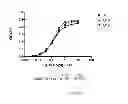Fig. 69 - Polypeptides, antibody variable domains and antagonists