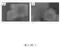 Fig. 02 - Solid compositions for pharmaceutical use