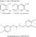 Fig. 08 - Cross-linked collagen comprising an antifungal agent