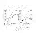 Fig. 07 - DRUG DISCOVERY METHODS