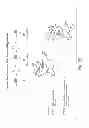 Fig. 14 - DRUG DISCOVERY METHODS