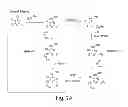 Fig. 20 - DRUG DISCOVERY METHODS