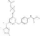 Fig. 40 - DRUG DISCOVERY METHODS