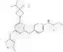 Fig. 42 - DRUG DISCOVERY METHODS