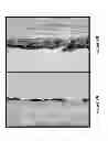 Fig. 10 - Compositions for enhancing wound healing containing magnesium and bromide
