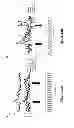 Fig. 14 - Compositions for enhancing wound healing containing magnesium and bromide