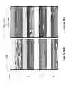 Fig. 19 - Compositions for enhancing wound healing containing magnesium and bromide