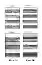 Fig. 20 - Compositions for enhancing wound healing containing magnesium and bromide