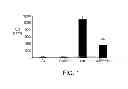 Fig. 02 - Methods of treating hepatitis