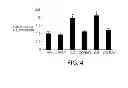 Fig. 05 - Methods of treating hepatitis
