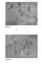 Fig. 02 - MANUFACTURE OF CHEESE