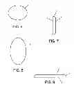 Fig. 07 - Dehydrated vegetable food product and methods of making the same