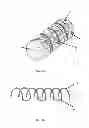 Fig. 02 - Methods and compositions for promoting the structural integrity of scaffolds for tissue engineering