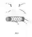 Fig. 09 - Methods and compositions for promoting the structural integrity of scaffolds for tissue engineering
