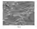 Fig. 04 - VIBRATION DAMPING COATING