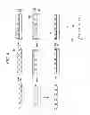 Fig. 05 - Bowl-shaped structure, method for manufacturing same, and bowl array