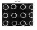 Fig. 22 - Bowl-shaped structure, method for manufacturing same, and bowl array