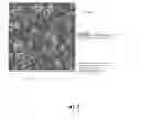 Fig. 04 - FLEXIBLE MATERIAL AND ARTICLES MADE THEREFROM