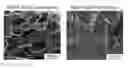 Fig. 01 - FABRICATION OF CARBON FOAMS THROUGH SOLUTION PROCESSING IN SUPERACIDS