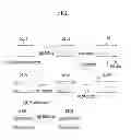 Fig. 02 - Selectively modified nanoporous structure and production methods thereof