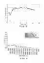 Fig. 03 - Transparent conductive film
