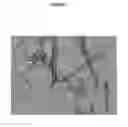Fig. 08 - Process for the preparation of fluticasone propionate form 1