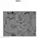 Fig. 10 - Process for the preparation of fluticasone propionate form 1