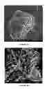 Fig. 10 - Method for producing solid carbon by reducing carbon oxides
