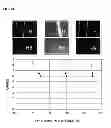 Fig. 15 - Method of manufacturing multilayer body, method of processing substrate, and multilayer body