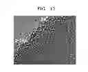 Fig. 08 - Graphene-layered structure, method of preparing the same, and transparent electrode and transistor including graphene-layered structure