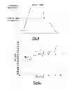 Fig. 04 - Process for making coated cold-rolled dual phase steel sheet